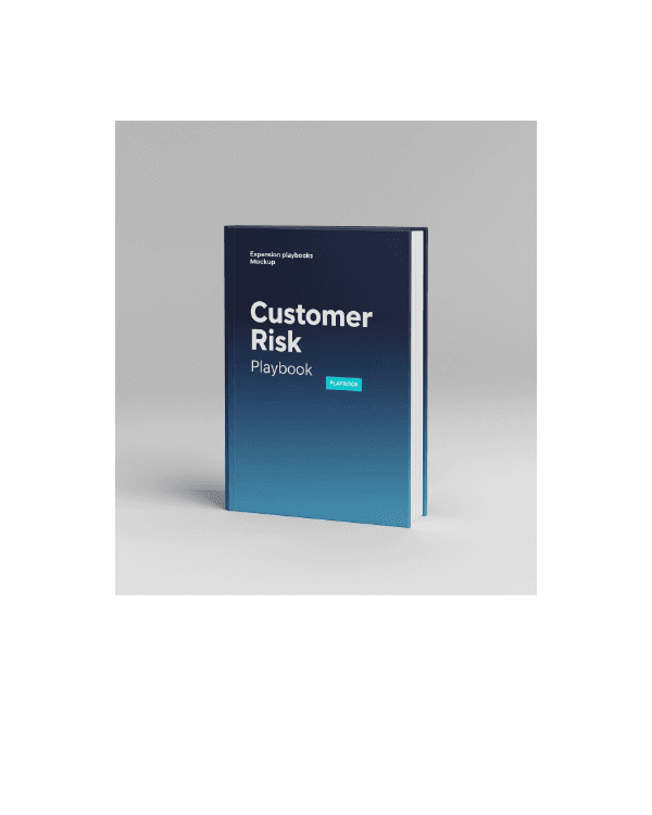 Customer Risk Playbook book cover